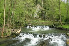 Molignee