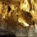 Les Grottes De Han